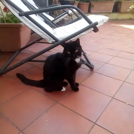 Nocleg ze śniadaniem 