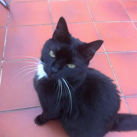 La Terrazza Bed & Breakfast 3*