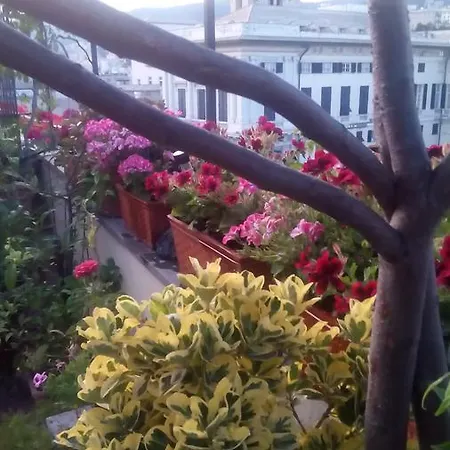 La Terrazza Bed & Breakfast 3*