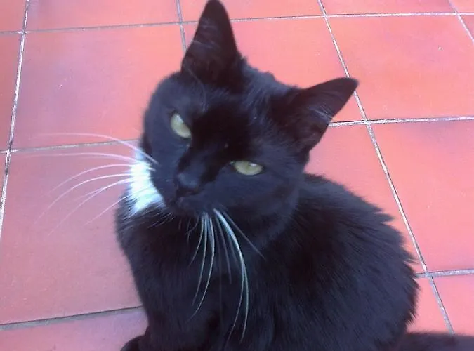 La Terrazza Bed & Breakfast 3*