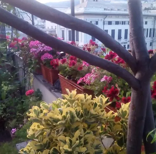 La Terrazza Bed & Breakfast 3*